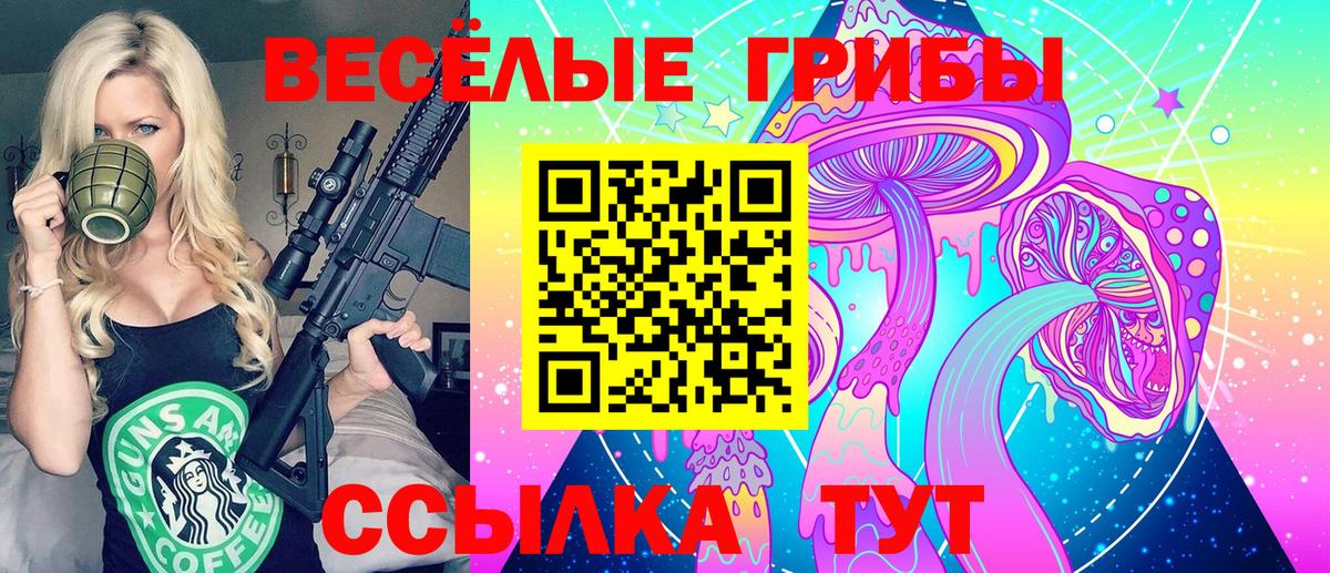 Псилоцибиновые грибы Psilocybe Елабуга