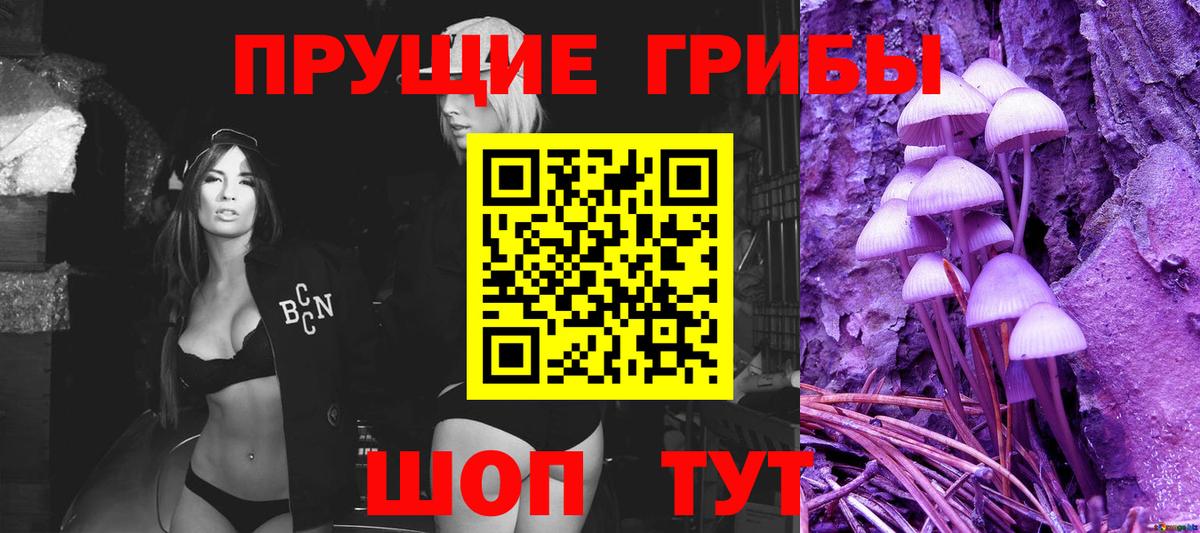 Елабуга  Псилоцибиновые грибы ЛСД  Вход с VPN 